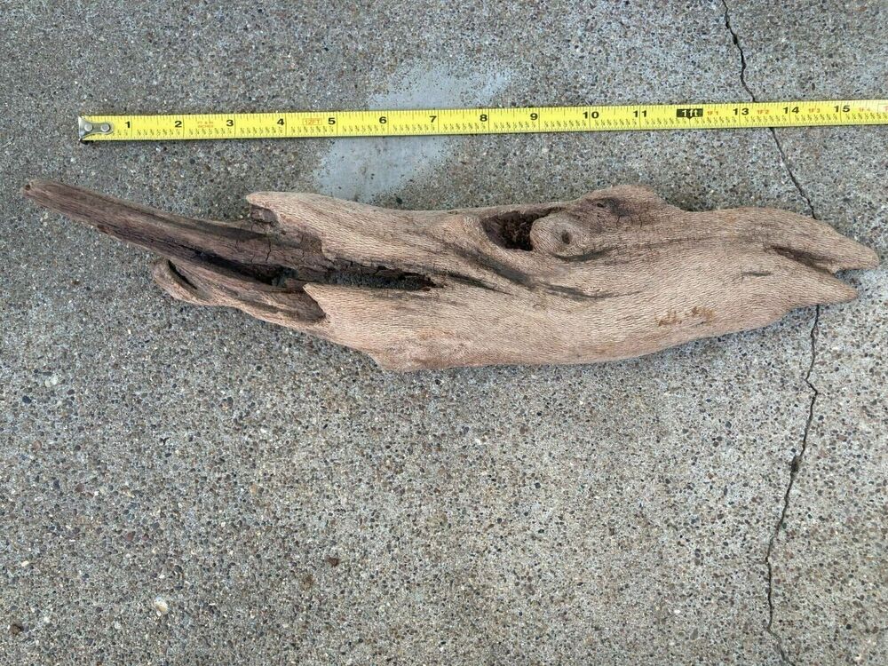 Ohio River Driftwood 15.5"x3"x3"